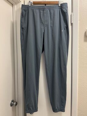 Everlane Men’s Light Slate Blue Jogger Pants